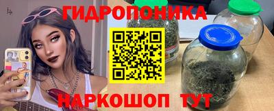 эйфоретик Будённовск