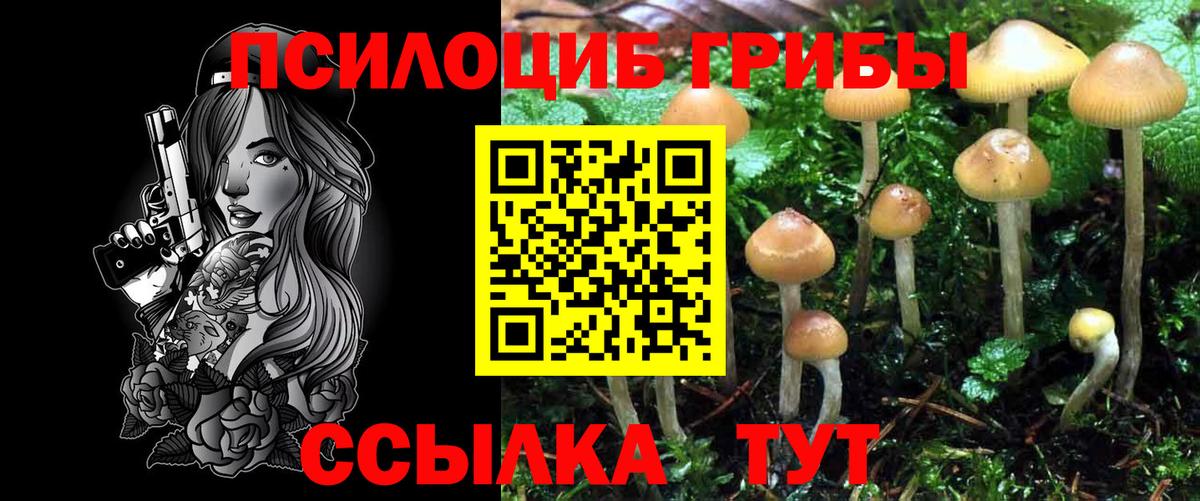 закладка  Вход с VPN  Кстово  Галлюциногенные грибы Magic Shrooms 